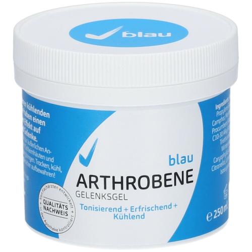 Arthrobene Gelenksgel Blau 250 ml Gel