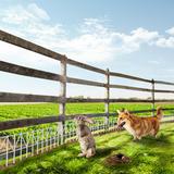 EFPerfect 15" H x 24" W Animal Anti-digging Barrier Fence Rustproof Decorative Garden Fence Metal | 10 H x 24 W x 0.2 D in | Wayfair