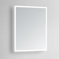 Linea 24" x 40" Rectangular LED Lighted Vanity Wall Mirror