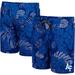 Men's Colosseum Royal Air Force Falcons The Dude Swim Shorts