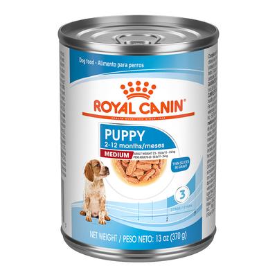 Royal Canin Size Health Nutrition Medium Thin Slices in Gravy Wet Puppy Food, 13 oz.