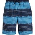 PROTEST Herren Badeshorts PRTAUCKLEY beachshort, Größe S in Blau