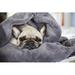 Ebern Designs Dog Wrapped in a Blanket by Ewelina Thepphaboot - Wrapped Canvas Photograph Canvas | 20 H x 30 W x 1.25 D in | Wayfair