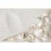 Bungalow Rose White Seashells by Egal - Wrapped Canvas Photograph Canvas | 8 H x 12 W x 1.25 D in | Wayfair DAF0865A00FB4F9498C7FB2E080C5751