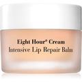 Elizabeth Arden Eight Hour intensive lip balm 10 g