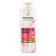 Pantene Biotin Shampoo for Coloured Hair Colour Gloss Repairing Shampoo Dull to Glossy 400ml
