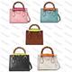 5A Top quality Diana Bamboo cc tote bag designers handbag Genuine leather Shoulder Bags womens Purse Fashion pochette 001