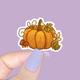 Fall Sticker, Pumpkin Vinyl Autumn Stickers, Sticker Planner Fall, The Fall Sticker, Fall Season Fal