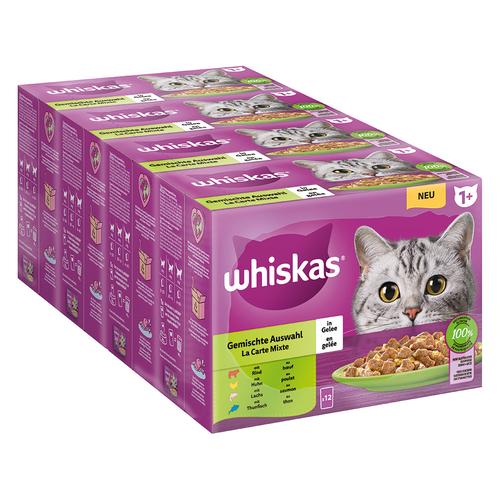 144x 85g Megapack Whiskas 1+ Adult Frischebeutel Gemischte Auswahl in Gelee Katzenfutter nass