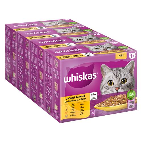 48x 85g Megapack Whiskas 1+ Adult Frischebeutel Geflügel Auswahl in Gelee Katzenfutter nass