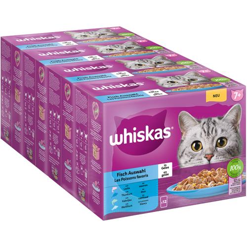 144x85g 7+ Fischauswahl in Gelee Jumbopack Whiskas Senior Frischebeutel 144 x 85 g Katzenfutter nass