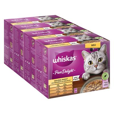 144x 85g Multipack Whiskas Pure Delight Portionsbeutel Geflügel Ragout in Gelee Katzenfutter nass