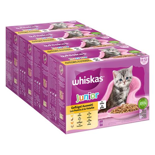 144x 85g Megapack Whiskas Junior Frischebeutel Geflügel Auswahl in Gelee Katzenfutter nass