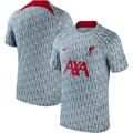 Men's Nike Gray Liverpool 2023/24 Pre-Match Performance Top