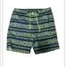 American Eagle Outfitters Swim | American Eagle Mens Swim Trunks Xl | Color: Green | Size: Xl