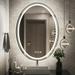 fliptradeinc Oval Frameless Wall Mounted LED Bathroom Mirror Anti-Fog Dimmable 24 x 32 inch