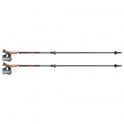 Leki - Instructor Lite - Nordic Walking Stöcke Länge 100-125 cm grau/rot Image