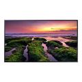 Samsung QB50B QBB Series - 50" LED-backlit LCD display - 4K - for digital signage