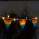 Solar Rainbow Bunting