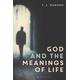God and the Meanings of Life By T J Mawson (Hardback) 9781474212557