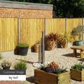 5ft x 6ft Pressure Treated Feather Edge Fence Panel | Waltons