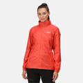 Regatta Women's Lightweight Corinne IV Waterproof Packaway Jacket Neon Peach, Size: 16