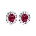 18ct White Gold 0.52ct Ruby Diamond Oval Stud Earrings - Option1 Value / White Gold