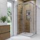 900 Square Corner Entry Shower Enclosure with Shower Tray - Carina