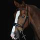 Collegiate Mono Crown Padded Raised Flash Bridle - Brown - Full