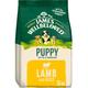 James Wellbeloved Puppy Dry Food Lamb and Rice - 15kg