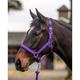 Mark Todd Headcollar Deluxe Padded with Lead Rope - Purple - Cob