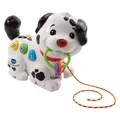 VTech Pull Along Puppy Pal