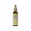 Bach Flower Remedies Honeysuckle, 20ml