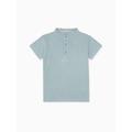 Sage Green Alcon Boy Polo Shirt