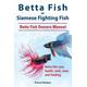Betta Fish or Siamese Fighting Fish. Betta Fish Owners Manual. Betta fish care, health, tank, costs and feeding.