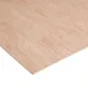 Natural Hardwood Plywood Board (L)0.81M (W)0.41M (T)3.6mm 600G