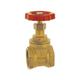 3/4 Inch bsp Strong Brass Sluice Gate Valve Water Stop with Red Head Handle