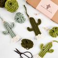 Macrame Cactus Trio Craft Kit