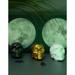 BECKI OWENS Resin Halloween Skulls Décor - Set Of 3