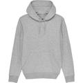 greenT Organic Cruiser Iconic Regular Fit Hoodie Sweatshirt M- Chest 38-40' (97-102cm)