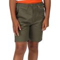 Regatta Boys Alber Sustainable Cotton Summer Shorts 14/15 Years - Waist 73-76cm (Height 164-170cm)