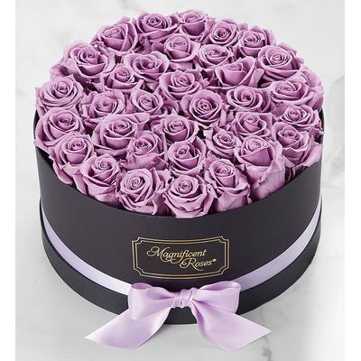 1-800-Flowers Flower Delivery Magnificent Roses Preserved Lavender Roses Three Dozen