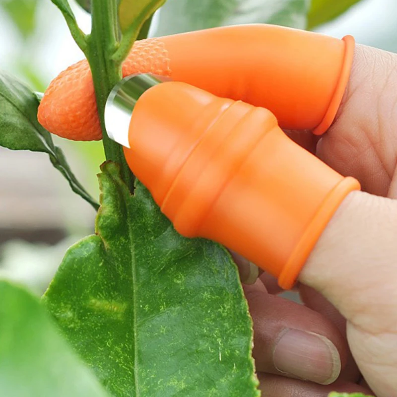 Outil de doigt multifonction, coupe-légumes, séparateur de pouce, outils de jardinage, sécateur, cueillette de plantes de jardin