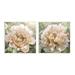 Stupell Industries Carnation Plant Blooming Garden 2 Piece Canvas Wall Art Set By Shawna Sullivan Wood in Brown | 12 H x 24 W x 0.5 D in | Wayfair