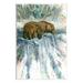 Millwood Pines Two Bears Waterfall Nature by Dave Bartholet - Unframed Graphic Art on MDF in Brown | 15 H x 10 W x 0.5 D in | Wayfair