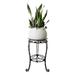 Red Barrel Studio® Plant Stand Metal | 18.9 H x 11.8 W x 11.8 D in | Wayfair 17E18C6970FF423B8C7D7C6C206D8D79