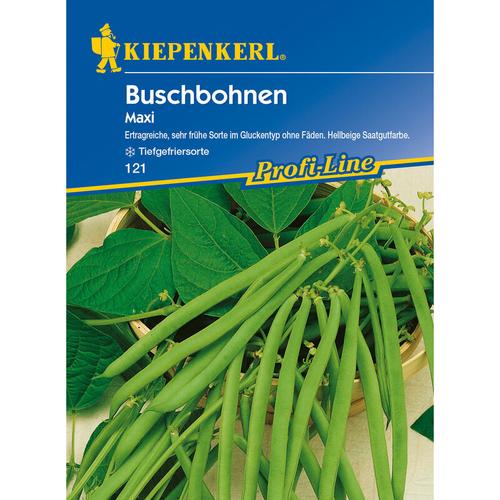 Kiepenkerl - Buschbohnen Maxi - Gemüsesamen