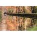 Millwood Pines Narrow Boat on Kennet & Avon Canal in Autumn - Wrapped Canvas Photograph Metal | 32 H x 48 W x 1.25 D in | Wayfair