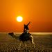 Union Rustic Pose on the Camel by Photochecker - Wrapped Canvas Photograph Canvas | 20 H x 20 W x 1.25 D in | Wayfair