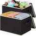 LHZK Storage Bins with Lids Large Fabric Storage Baskets with Lids for Organizing 15 x11 x9.6 Closet Storage Bins with Reinforced Handles Collapsible Storage Boxes for Shelves (Black 2-Pack)